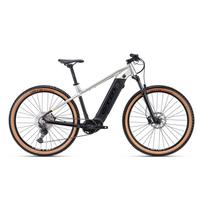 Elektrinis dviratis CTM Wire Xpert e-MTB 29" green-beige pearl - matt black