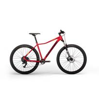 Corratec MTB 29" X Vert Expert Red-Dark Blue