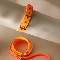 Biotano komplektas | ORANGE