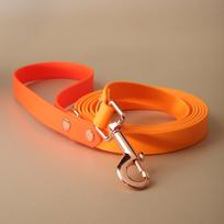 Biotano pavadėlis | ORANGE