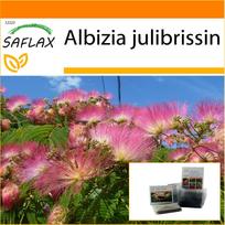 SAFLAX - Garden in the Bag - Pinc Acacia - 50 seeds - With substrate in a fitting stand up bag - Albizia julibrissin