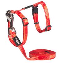 Rogz Kiddy Cat petnešos Ir pavadėlis katėms, oranžinės spalvos; 24-40cm