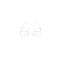 Dji Phantom P4 Part 62 Propeller Guard (propelerių apsauga)