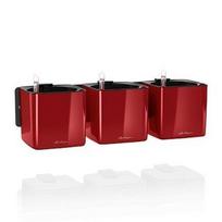 Vazonai Lechuza Cube Glossy, raudona, 3vnt. 13525