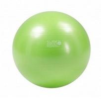 Kamuolys Gymnic Plus 65 cm, žalias, 8001698095400