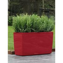 Vazonas Cararo LECHUZA, scarlet red