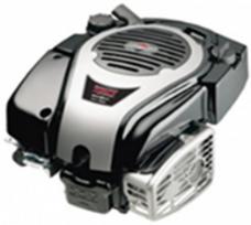 Variklis 750EX Series™ DOV® 161cc (sunkusis smagratis) 1008020116 BRIGGS & STRATTON