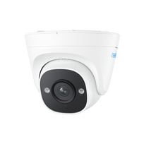 Reolink | IP Camera with Accurate Person and Vehicle | P324 | Dome | 5 MP | 2.8 mm | IP66 | H.264 | Micro SD, Max. 256GB