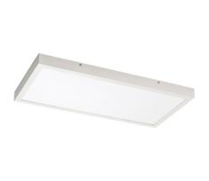 Rabalux 71077 - LED Ant pagrindo montuojama panelė DAMEK LED/24W/230V 4000K 60x30 cm