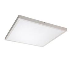 Rabalux 71078 - LED Ant pagrindo montuojama panelė DAMEK LED/40W/230V 4000K 60x60 cm