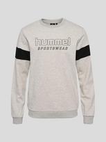 Džemperis vyrams Hummel Hmllgc Bryce, pilkas