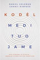 Kodėl medituojame - Daniel Goleman,Coknji Rinpočė