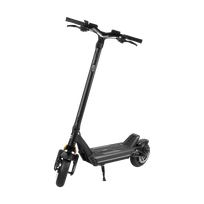 REBEL FAST WHEELS PRO MAX elektrinis paspirtukas