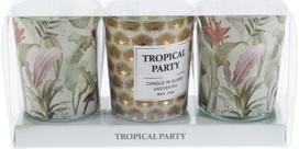 Žvakių rinkinys TROPICAL PARTY, 3 vnt.