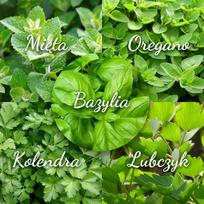Žolelių sėklų rinkinys mėtų raudonėlių bazilikų kalendra lovage 5 vnt. sodui