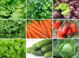 Sulčių rojaus sėklų rinkinys / 9 daržovių sėklų veislės / GMO / Ekologiški
