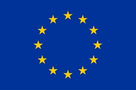 Europos Sąjungos vėliava su karabinais 1x2m