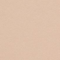 Popierius Curious Metallics A4 120g. 50l., Nude 408158
