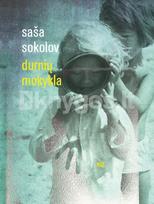 Durnių mokykla - Saša Sokolov