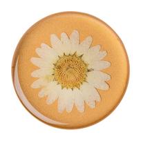 Popsockets Pressed Flower White Daisy Removable Grip with Stand Function Premium