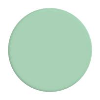 Popsockets Basic Grip Pastel Mint
