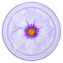 Popsockets PopGrip Purple Cosmos Plant