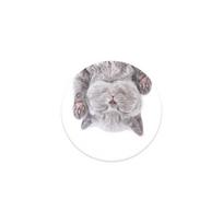 Popsockets Cat Nap Removable Grip with Stand Function
