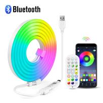 „Bluetooth“ neoniniai LED juostiniai šviestuvai 5 V silikoninis neoninis lynų apšvietimas 120 LEDs/M su muzikos sinchronizavimu RGB juostos juosta miegamojo sieninis apšvietimas 1M-USB