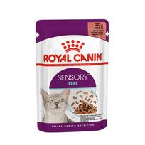 Royal Canin Sensory Feel gravy konservai katėms 12x85g