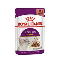 Royal Canin Sensory Smell gravy konservai katėms 12x85g