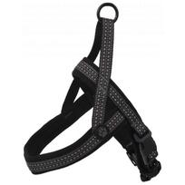 Active Dog Neoprene L/XL (pilka) 3,2x88-100cm neopreno petnešos šunims