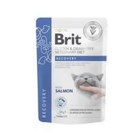 Brit GF Veterinary Diets Recovery Konservai Katėms 85g
