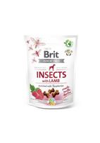 Brit Care Crunchy Cracker Insects with Lamb skanėstas šunims su ėriena, 200g