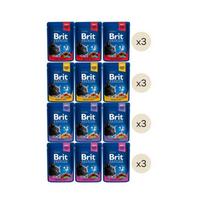 Brit Premium konservų katėms rinkinys 4 skoniai, 12 vnt.