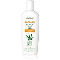 Cannaderm Capillus Seborea CBD+ Shampoo šampūnas nuo pleiskanų 150 ml