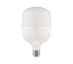 LED elektros lemputė T100 E27/30W/230V 4000K