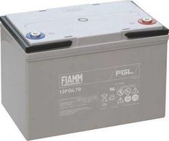 10 metų Fiamm švino akumuliatorius 12 V / 70 Ah
