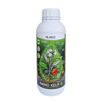 Amino Kelp-O amino rūgštys su dumblių ekstraktu 1L.