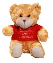 Pliušinis žaislas meškutis su marškinėliais užrašas Somebody s missing you in Lithuania, 20cm