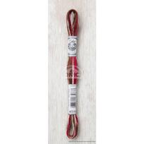 517F-4516 DMC Mouline siūlai siuvinėjimui. 6 gijos. 8 m