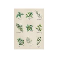 Siuvinėjimo rinkinys Luca-S Spices and Herbs SB2346 21.5x30.5cm