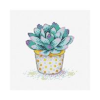 Siuvinėjimo Rinkinys MP Studija Succulent Splendour SM-381 11x11cm