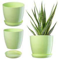Vazonas gėlėms Kadax su stovu, plastikinis, žalias, 12 cm