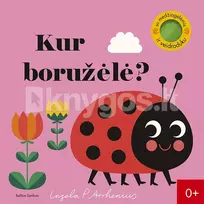 Kur boružėlė? - Ingela P. Arrhenius
