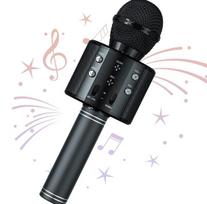 WS-858 belaidis karaoke mikrofonas- Bluetooth rankinis garsiakalbis, juodas