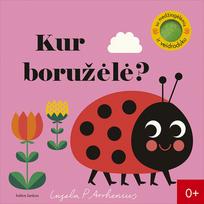 Kur boružėlė? Su medžiagėlėmis ir veidroduku - Ingela P. Arrhenius