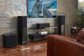 FYNE AUDIO F502 Black Oak