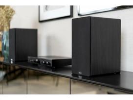 INDIANA TESI 241 Black