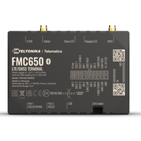 FMC650 4G TELTONIKA GPS SEKLYS