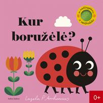 Kur boružėlė?